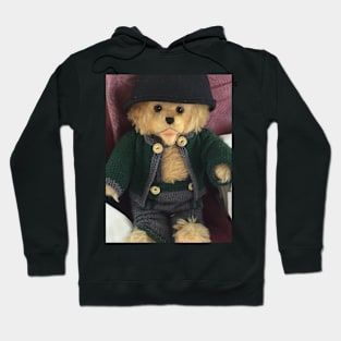 Teddy Bear in Austria Hoodie